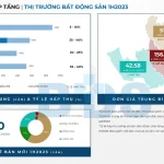 Báo cáo tài chính của chủ đầu tư bất động sản