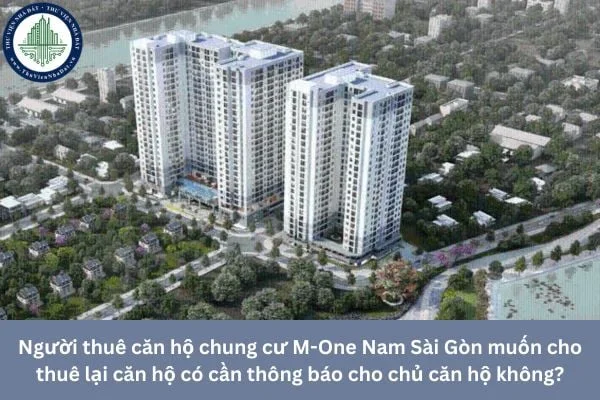 Người mua nhà đang xem xét hợp đồng căn hộ tại một sàn giao dịch bất động sản