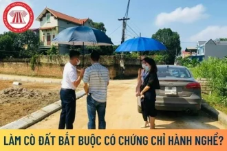 Cò đất bỏ nghề, biểu đồ giảm số lượng môi giới
