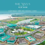 Phối cảnh tổng thể dự án The Rivus