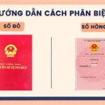 So sánh sổ đỏ và sổ hồng