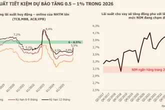 Biểu đồ so sánh tỷ suất sinh lời giữa bất động sản, vàng và chứng khoán năm 2026