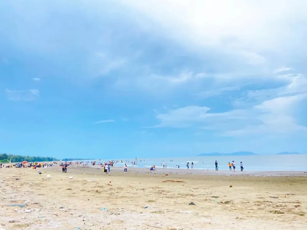 Đường bờ biển và rừng ngập mặn Cần Giờ nhìn từ đất liền