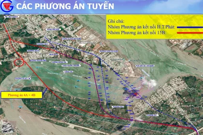Đội trắc địa cắm mốc tim tuyến cầu Cần Giờ trên thực địa