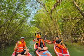 Du khách chèo thuyền kayak len lỏi qua rạch rợp bóng đước trong Khu Dự Trữ Rừng Sác Cần Giờ