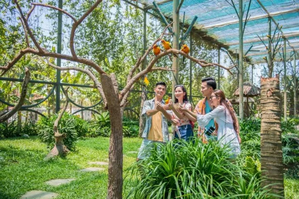 Toàn cảnh Khu Bảo Tồn Safari Cần Giờ giữa rừng ngập mặn