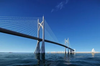 Phối cảnh cầu Cần Giờ dây văng với hệ trụ tháp tạo hình cây đước giữa rừng ngập mặn