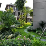 Phối cảnh sân vườn tiểu cảnh biệt thự nghỉ dưỡng vùng biển với cây nhiệt đới