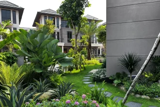 Phối cảnh sân vườn tiểu cảnh biệt thự nghỉ dưỡng vùng biển với cây nhiệt đới