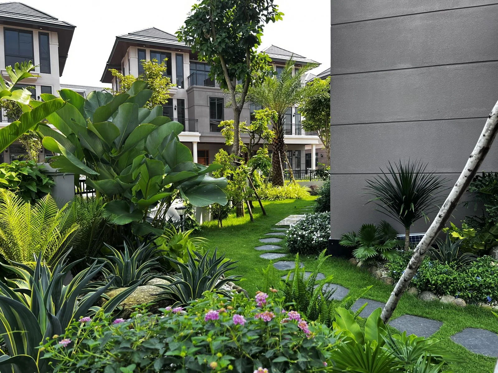 Phối cảnh sân vườn tiểu cảnh biệt thự nghỉ dưỡng vùng biển với cây nhiệt đới