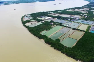 Toàn cảnh khúc sông Soài Rạp uốn lượn bên khu dân cư Phú Thuận Quận 7