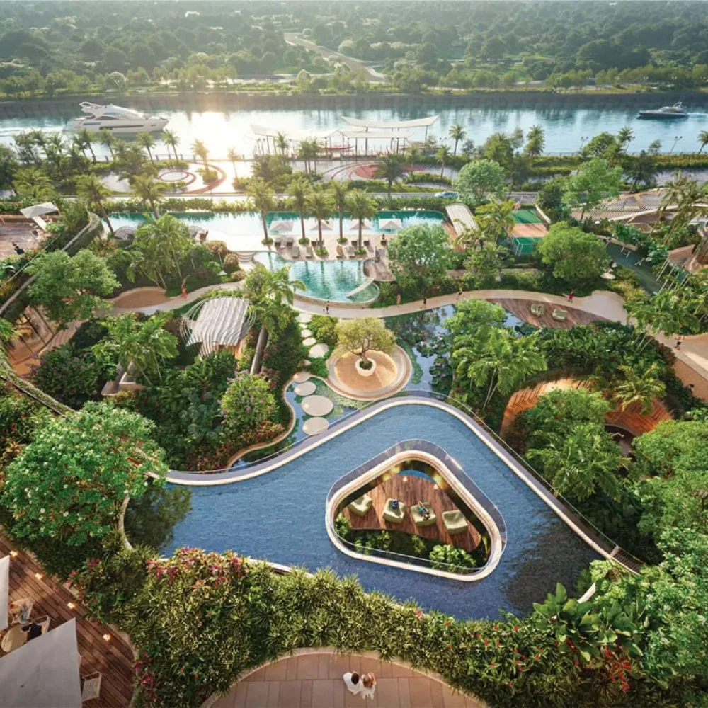 Palm-river-tiẹn-ich-baobds